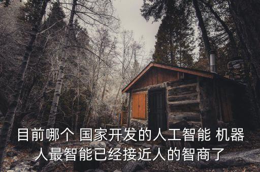 目前哪個 國家開發(fā)的人工智能 機(jī)器人最智能已經(jīng)接近人的智商了