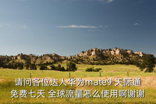 請問各位達人華為mate9 天際通免費七天 全球流量怎么使用啊謝謝