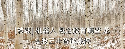 2017年世界機(jī)器人大會概念龍頭