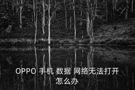 OPPO 手機 數(shù)據(jù) 網(wǎng)絡(luò)無法打開怎么辦
