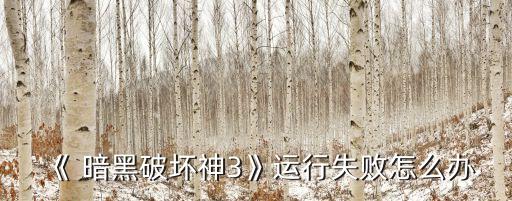 《 暗黑破壞神3》運行失敗怎么辦