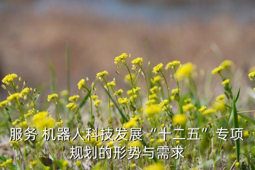 服務 機器人科技發(fā)展“十二五”專項規(guī)劃的形勢與需求