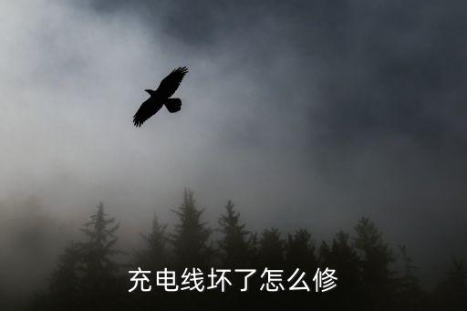 安卓 數(shù)據(jù)線 綠聯(lián) 公牛,安卓數(shù)據(jù)線的三種型號