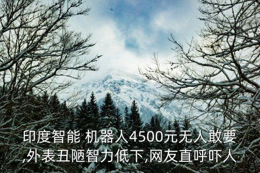印度智能 機器人4500元無人敢要,外表丑陋智力低下,網(wǎng)友直呼嚇人