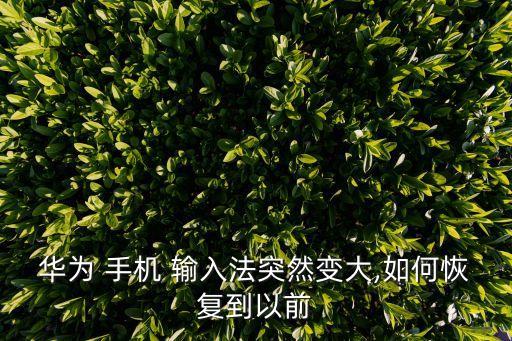 華為 手機(jī) 輸入法突然變大,如何恢復(fù)到以前