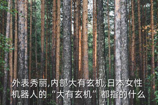 外表秀麗,內(nèi)部大有玄機(jī),日本女性 機(jī)器人的“大有玄機(jī)”都指的什么