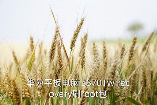 華為平板電腦 s8701w recovery刷root包