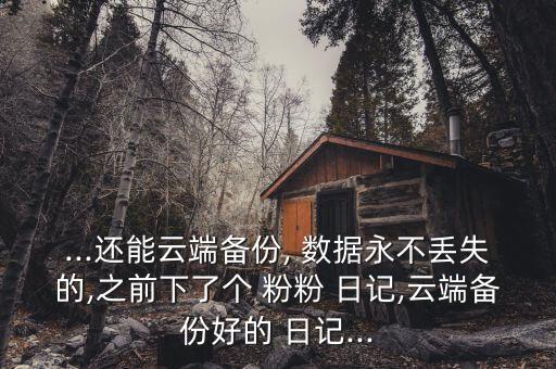 ...還能云端備份, 數(shù)據(jù)永不丟失的,之前下了個 粉粉 日記,云端備份好的 日記...