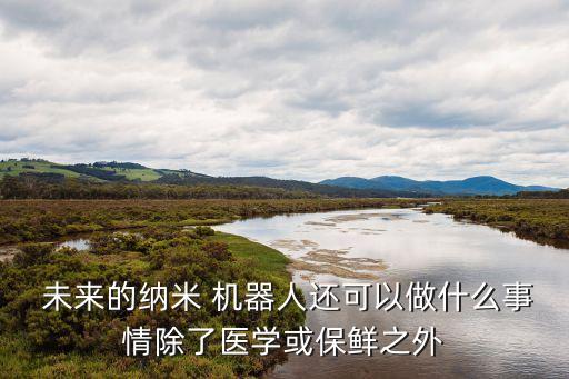  未來的納米 機器人還可以做什么事情除了醫(yī)學或保鮮之外