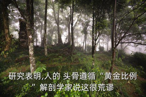 頭骨3d數(shù)據(jù),3D演示一些動(dòng)物的頭骨
