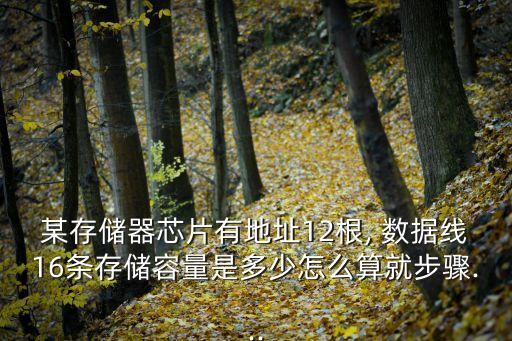 某存儲(chǔ)器芯片有地址12根, 數(shù)據(jù)線16條存儲(chǔ)容量是多少怎么算就步驟...