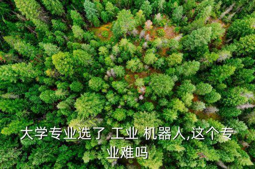 大學(xué)專業(yè)選了 工業(yè) 機器人,這個專業(yè)難嗎