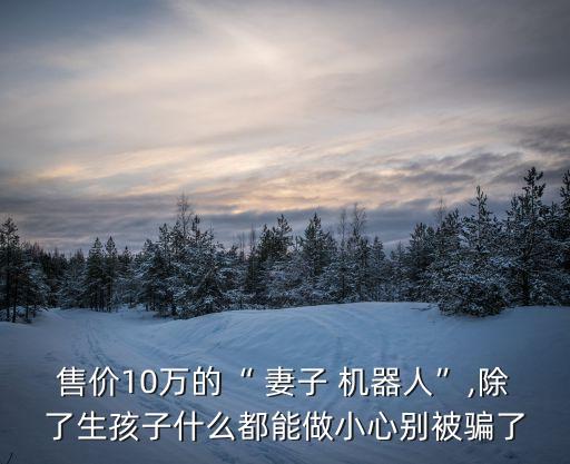 售價10萬的“ 妻子 機(jī)器人”,除了生孩子什么都能做小心別被騙了