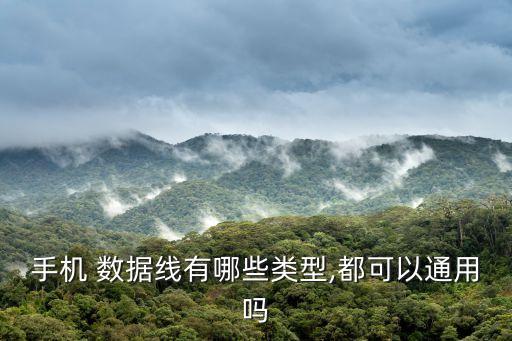 手機 數(shù)據(jù)線有哪些類型,都可以通用嗎