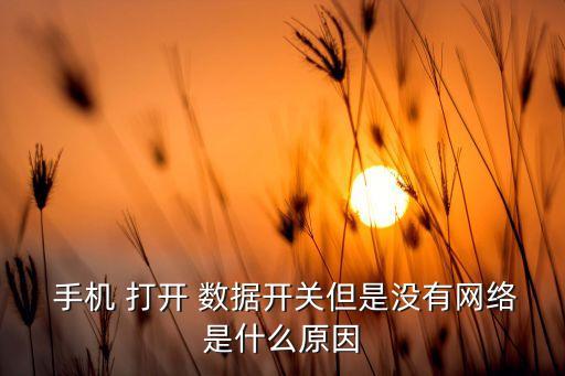 手機移動數(shù)據(jù)打開上不去網(wǎng),為什么手機移動數(shù)據(jù)打開了沒有網(wǎng)絡