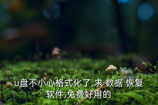 u盤不小心格式化了,求 數(shù)據(jù) 恢復(fù)軟件,免費(fèi)好用的