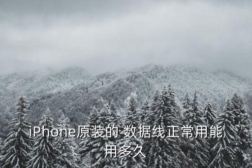 iPhone原裝的 數(shù)據(jù)線正常用能用多久