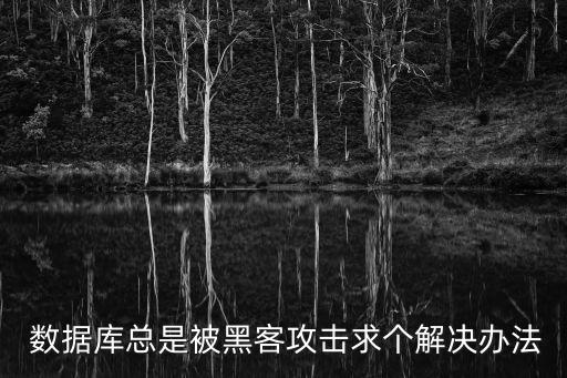  數(shù)據(jù)庫(kù)總是被黑客攻擊求個(gè)解決辦法