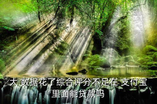 大數(shù)據(jù)討論支付寶,支付寶清除數(shù)據(jù)有什么后果