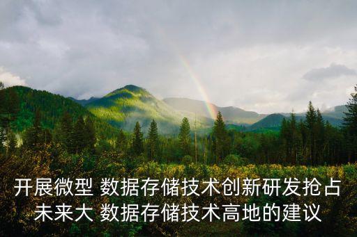 開展微型 數(shù)據(jù)存儲技術(shù)創(chuàng)新研發(fā)搶占未來大 數(shù)據(jù)存儲技術(shù)高地的建議
