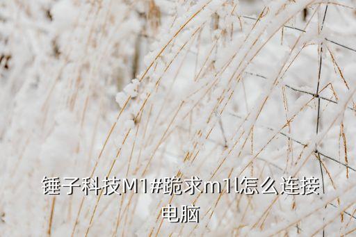  錘子科技M1#跪求m1l怎么連接 電腦