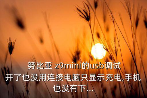 努比亞 z9mini的usb調(diào)試開了也沒用連接電腦只顯示充電,手機(jī)也沒有下...