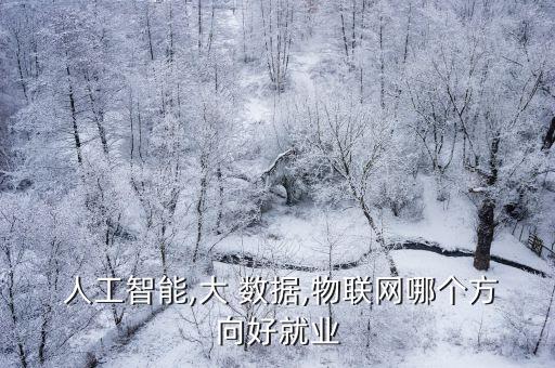  人工智能,大 數(shù)據(jù),物聯(lián)網(wǎng)哪個(gè)方向好就業(yè)