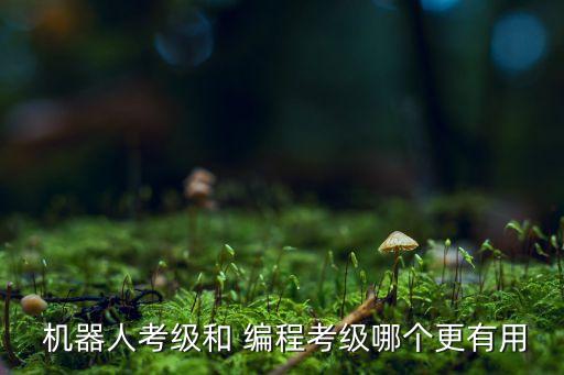  機(jī)器人考級(jí)和 編程考級(jí)哪個(gè)更有用
