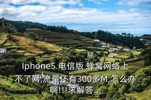 Iphone5 電信版 蜂窩網(wǎng)絡(luò)上不了網(wǎng),流量還有300多M,怎么辦啊!!!求解答...