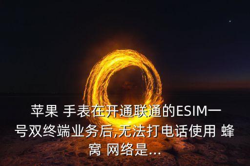 蘋果手表蜂窩數(shù)據(jù)網(wǎng)絡(luò)