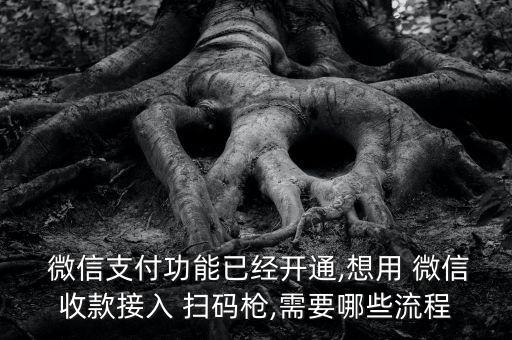  微信支付功能已經(jīng)開通,想用 微信收款接入 掃碼槍,需要哪些流程
