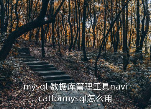聚源數(shù)據(jù)庫怎么用,恒生聚源數(shù)據(jù)庫