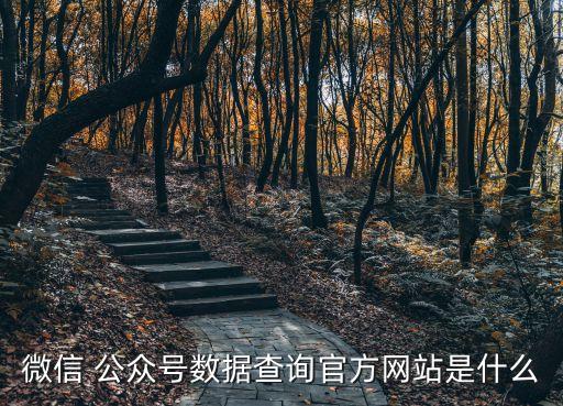 微信 公眾號數(shù)據(jù)查詢官方網(wǎng)站是什么