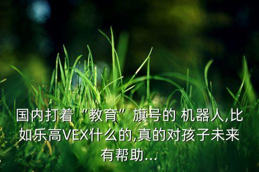 國(guó)內(nèi)打著“教育”旗號(hào)的 機(jī)器人,比如樂高VEX什么的,真的對(duì)孩子未來有幫助...