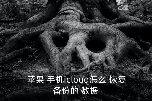 蘋果手機(jī)里內(nèi)容恢復(fù)數(shù)據(jù),如何恢復(fù)蘋果手機(jī)內(nèi)容