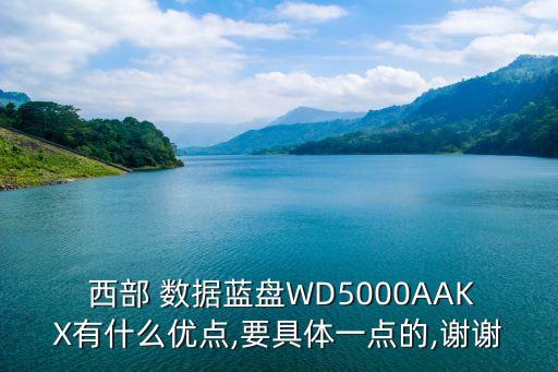  西部 數(shù)據(jù)藍(lán)盤WD5000AAKX有什么優(yōu)點(diǎn),要具體一點(diǎn)的,謝謝