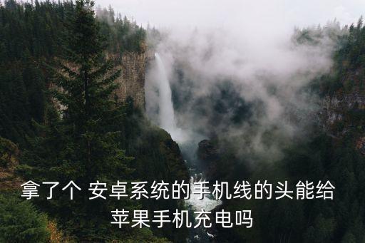 拿了個(gè) 安卓系統(tǒng)的手機(jī)線的頭能給 蘋果手機(jī)充電嗎