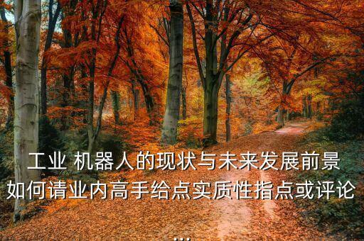  工業(yè) 機器人的現(xiàn)狀與未來發(fā)展前景如何請業(yè)內(nèi)高手給點實質(zhì)性指點或評論...