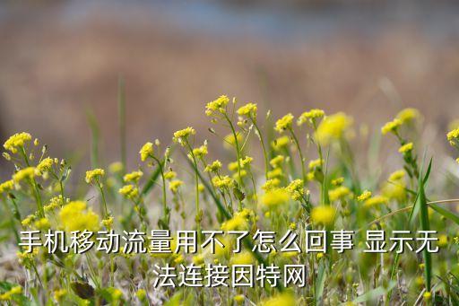 手機(jī)移動(dòng)流量用不了怎么回事 顯示無(wú)法連接因特網(wǎng)
