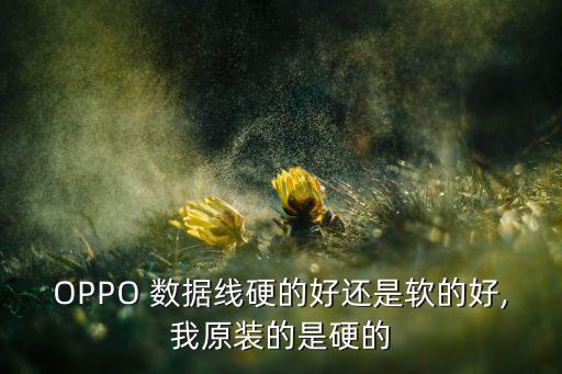 OPPO 數(shù)據(jù)線硬的好還是軟的好,我原裝的是硬的