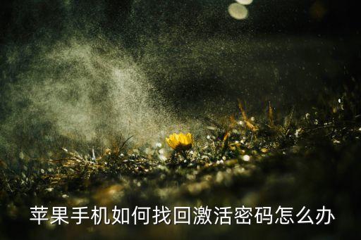  蘋果手機如何找回激活密碼怎么辦
