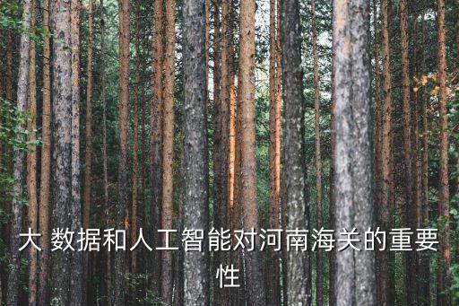 大 數(shù)據(jù)和人工智能對(duì)河南海關(guān)的重要性