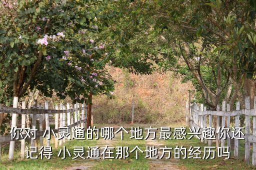 小靈通機(jī)器人