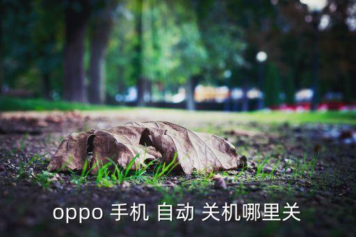 oppo 手機 自動 關機哪里關