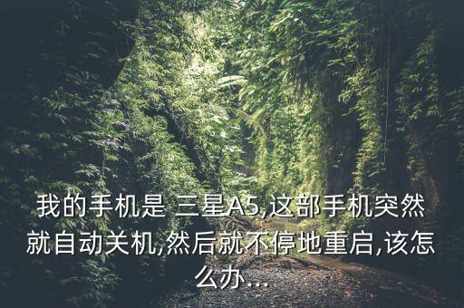 我的手機(jī)是 三星A5,這部手機(jī)突然就自動關(guān)機(jī),然后就不停地重啟,該怎么辦...