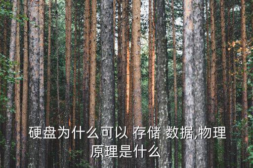  硬盤為什么可以 存儲 數(shù)據(jù),物理原理是什么
