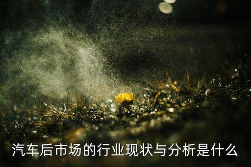 汽車后市場(chǎng)的行業(yè)現(xiàn)狀與分析是什么