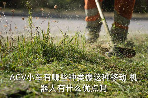 AGV小車有哪些種類像這種移動 機器人有什么優(yōu)點嗎