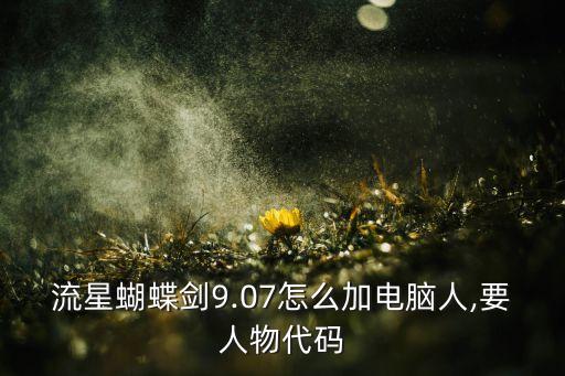 流星蝴蝶劍9.07怎么加電腦人,要人物代碼