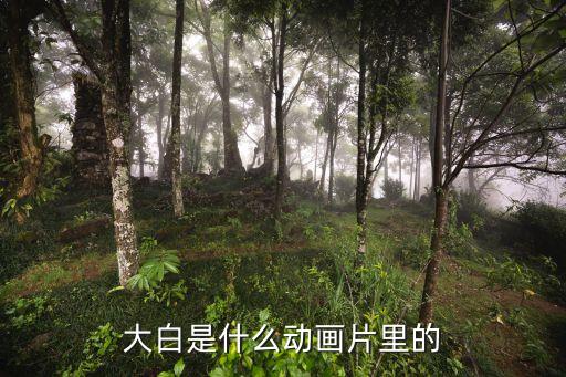 沖氣女機器人會不會笑,女機器人會不會生孩子